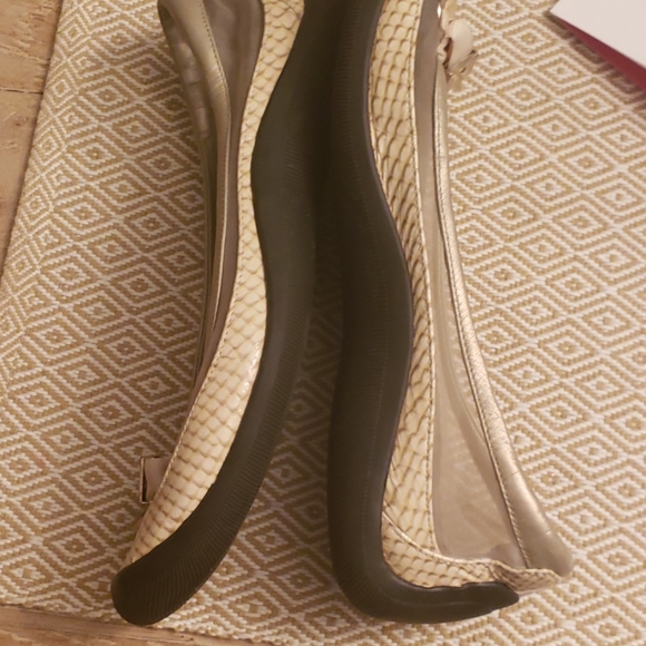 Cole Haan flat - Picture 6 of 7